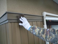 iiharasama12