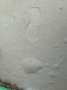 2013-10-08 13.54.53