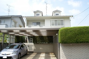 SONY DSC