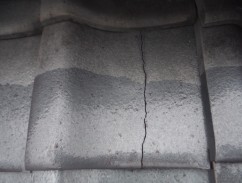 DSCF1645