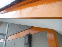 DSCF6726