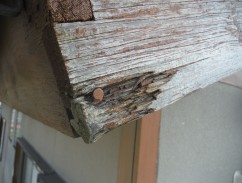 DSCF9452