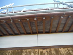 DSCF2619
